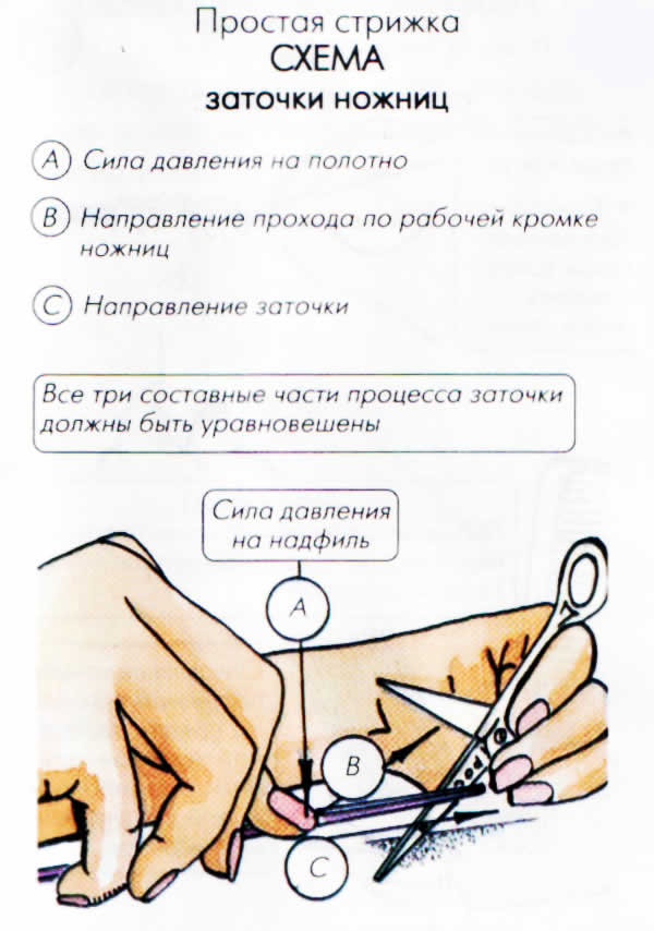 Как заточить маникюрные ножницы как заточить ножницы по