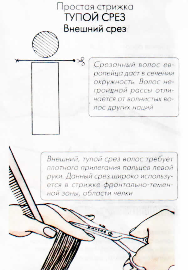 Какие срезы бывают при стрижке Какие срезы бывают при стрижке