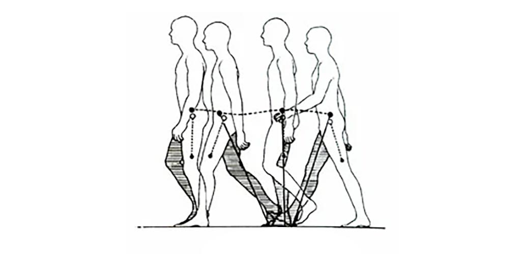 Изменение положения женщины. Ходьба с центром тяжести. Центр тяжести человека сидя. Центр походки. Изменение центра тяжести человека при ходьбе.