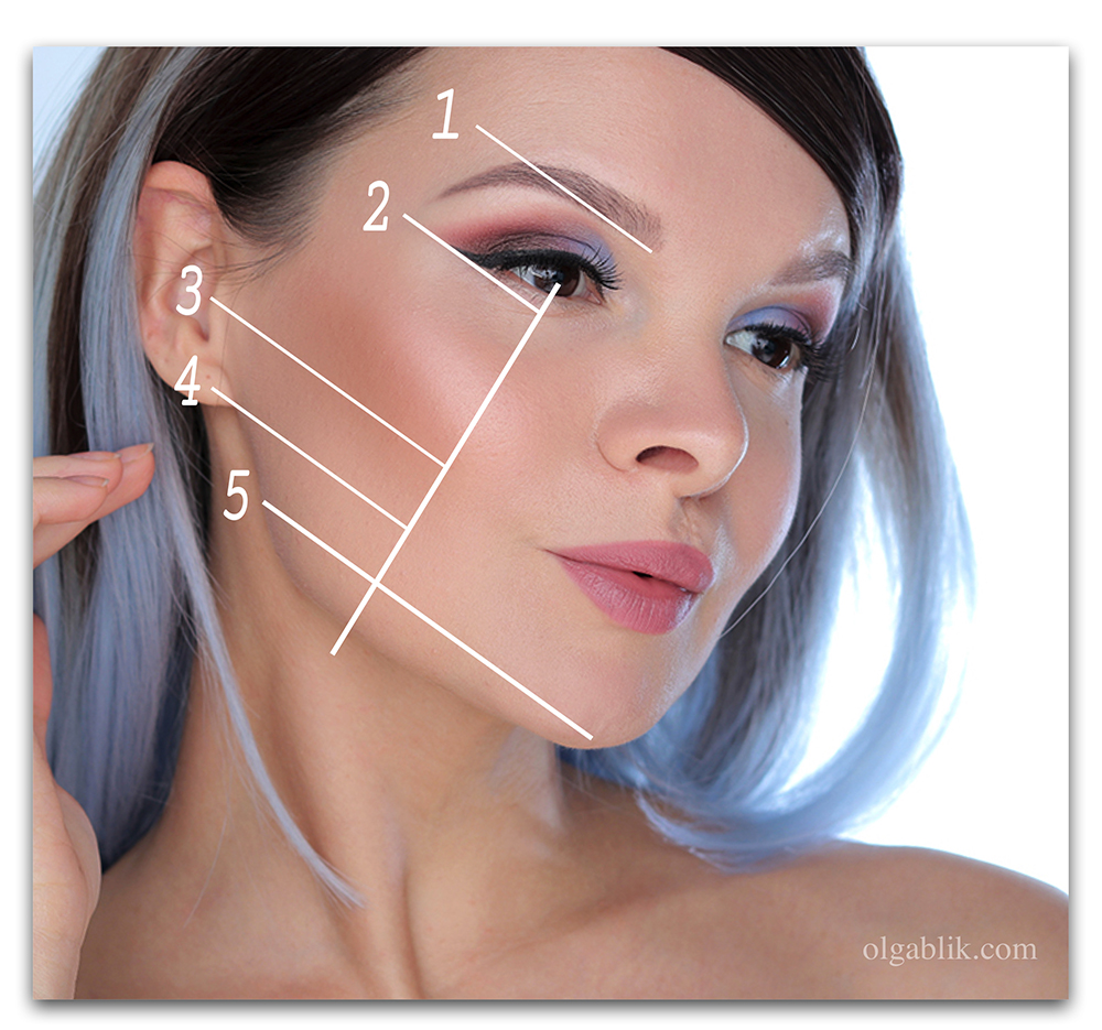 линии на лице макияж. схема макияжа. восходящие линии лица. массажные линии на лице для мезороллера. массажные линии лимфодренажного массажа лица.