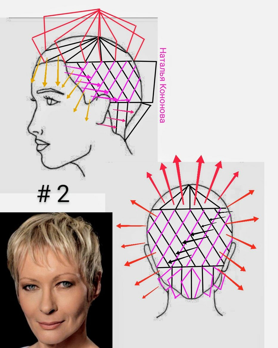 Схемы стрижки коротких волос. Схемы стрижек. Схема короткой стрижки для женщин. Короткая стрижка женская схема стрижки. Схема стрижки на короткие волосы.