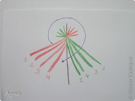 Чичковское плетение схемы. Чичковская плетение. Чичковское плетение мастер класс. Книга Чичковское плетение. Чичковское плетение схема.