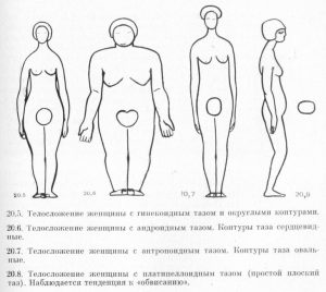Типы телосложения с примерами Типы телосложения (94 фото) - обзор классификаций и разных методик исследований 
