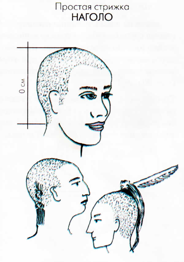Как правильно налысо. Схема стрижки волос машинкой налысо. Стрижка наголо. Стрижка наголо мужская. Мужская стрижка налысо схема.
